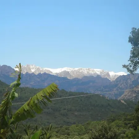 Nyaraló Louisa