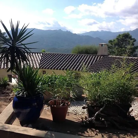Nyaraló Louisa *